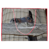 Niedliches Pferdekauen auf einem Zaun Große Geschenktüte (Rückseite)