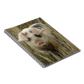 Niedliches Pig-Notebook Notizblock (Rechte Seite)