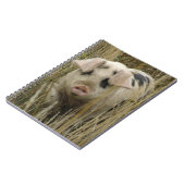 Niedliches Pig-Notebook Notizblock (Linke Seite)