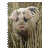 Niedliches Pig-Notebook Notizblock (Vorderseite)
