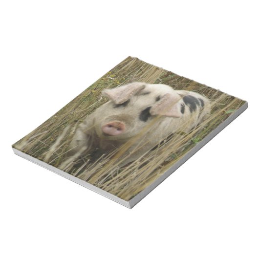 Niedliches Pig Notepad Notizblock (Rotiert)