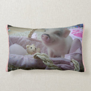 Niedliches Piggy Kissen