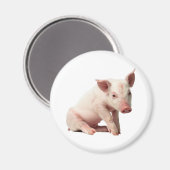 Niedliches Piglet-Magnet Magnet (Vorderseite/Rückseite)