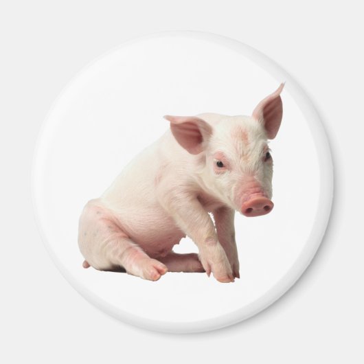 Niedliches Piglet-Magnet Magnet (Vorne)