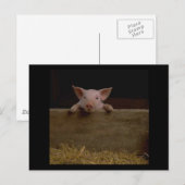 Niedliches Pigment Postkarte (Vorne/Hinten)