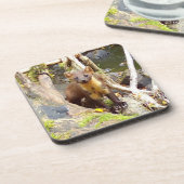 Niedliches Pine Marten Hartkunststoff 6 Untersetze Getränkeuntersetzer (Linke Seite)