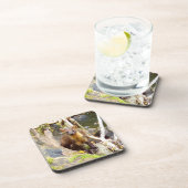 Niedliches Pine Marten Hartkunststoff 6 Untersetze Getränkeuntersetzer (Rechte Seite)