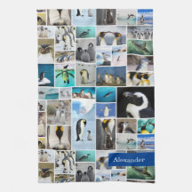 Niedliches Pinguin-Foto-Collage-Muster mit Vorname