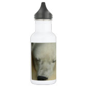 Niedliches polare trinkflasche (Links)
