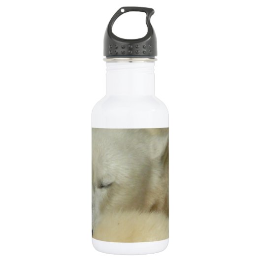 Niedliches polare trinkflasche (Vorderseite)