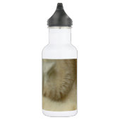 Niedliches polare trinkflasche (Rechts)