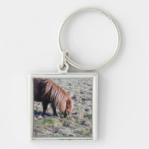 Niedliches Pony, das auf der Koppel weiden lässt Schlüsselanhänger