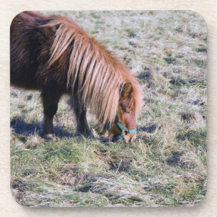 Niedliches Pony, das auf der Koppel weiden lässt Untersetzer