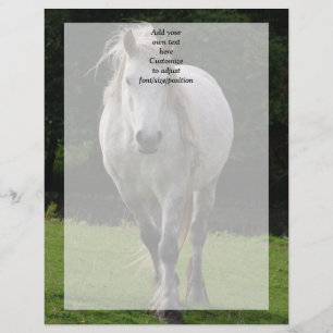Niedliches Ponyfoto