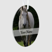 Niedliches Ponyfoto Ornament (Vorderseite)