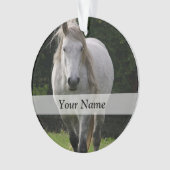 Niedliches Ponyfoto Ornament (Vorderseite)