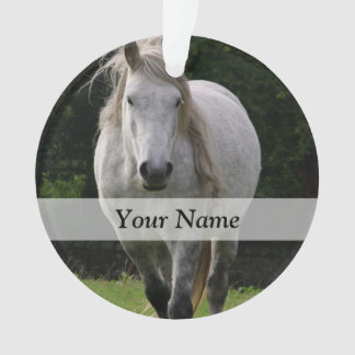 Niedliches Ponyfoto Ornament