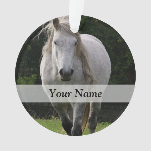 Niedliches Ponyfoto Ornament (Vorderseite)