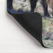 Niedliches Ponyweiden auf dem Paddock. Mousepad (Ecke)