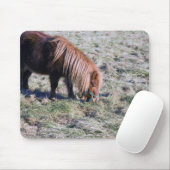 Niedliches Ponyweiden auf dem Paddock. Mousepad (Mit Mouse)