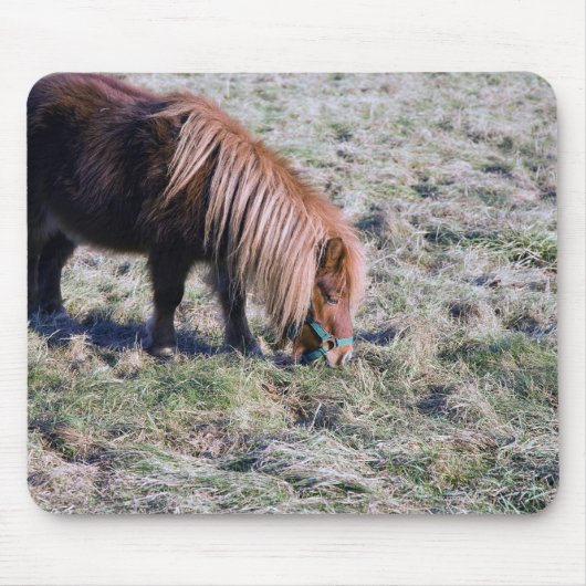 Niedliches Ponyweiden auf dem Paddock. Mousepad (Vorne)