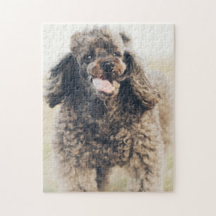 Niedliches Poodle Hund Gesicht lächeln Lächeln Puzzle