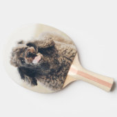 Niedliches Poodle Hund Gesicht lächeln Lächeln Tischtennis Schläger (Seitenansicht)