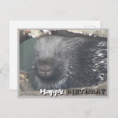 Niedliches Porcupine Face DIY Happy Birthday Postc Postkarte (Vorne/Hinten)