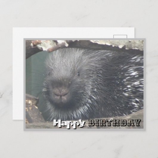 Niedliches Porcupine Face DIY Happy Birthday Postc Postkarte (Vorne/Hinten)