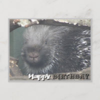 Niedliches Porcupine Face DIY Happy Birthday Postc