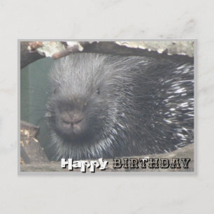 Niedliches Porcupine Face DIY Happy Birthday Postc Postkarte