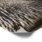 Niedliches Porcupine Poster (Ecke)