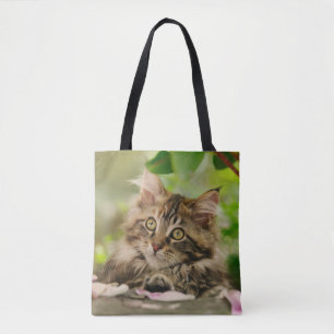 Niedliches Portrait Maine Coon Cat Kitten Foto Sho Tasche