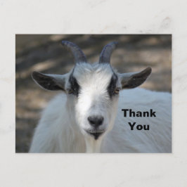 Niedliches Portrait Portrait Foto Vielen Dank Postkarte