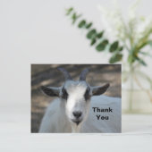 Niedliches Portrait Portrait Foto Vielen Dank Postkarte (Stehend Vorderseite)