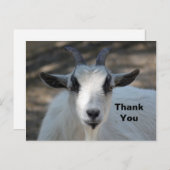 Niedliches Portrait Portrait Foto Vielen Dank Postkarte (Vorne/Hinten)