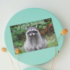 Niedliches Posen Raccoon Funny Wildlife Geburtstag Karte