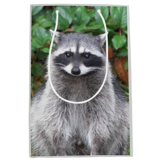 Niedliches Posen Raccoon Wildlife Foto Mittlere Geschenktüte (Vorderseite)