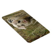 Niedliches Premium-Magnet Magnet (Rechte Seite)