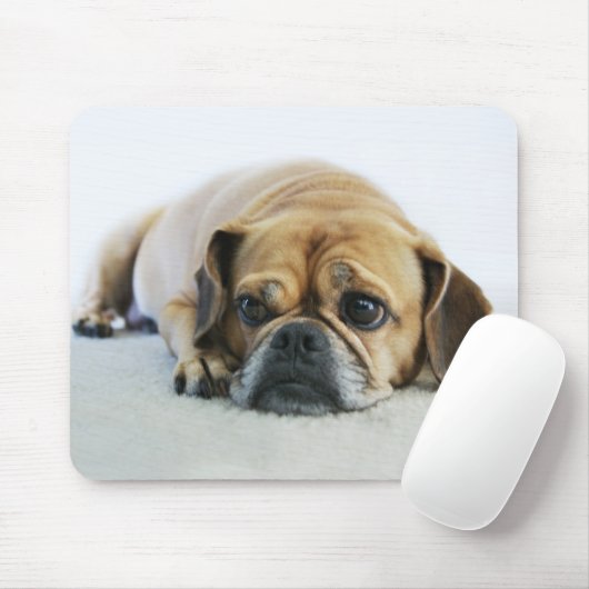 Niedliches Puggle Mousepad (Mit Mouse)