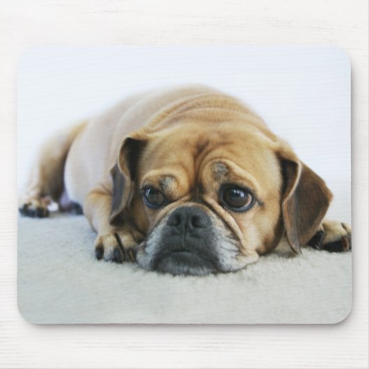 Niedliches Puggle Mousepad (Vorne)
