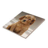 Niedliches Puppy-Portrait-Foto Fliese (Seite)