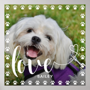 Niedliches Puppy-Valentinstag-Foto Poster