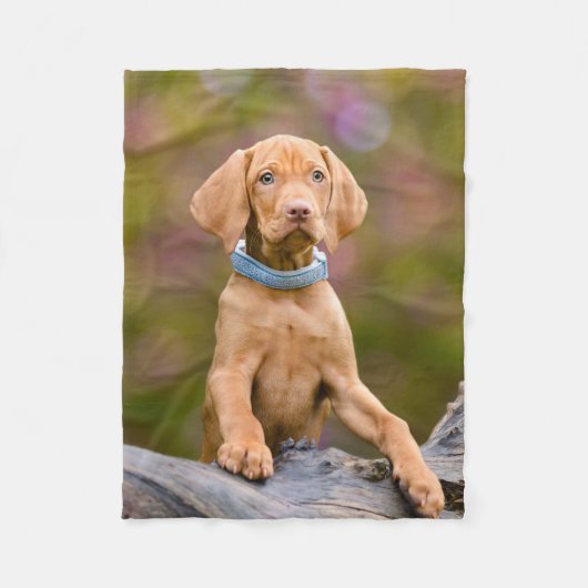 Niedliches puppyeyed Ungar Vizsla Hundewelpen-Foto Fleecedecke (Vorderseite)