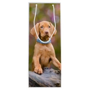 Niedliches puppyeyed Ungar Vizsla Hundewelpen-Foto Geschenktüte Für Weinflaschen