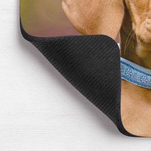 Niedliches puppyeyed Ungar Vizsla Mousepad (Ecke)