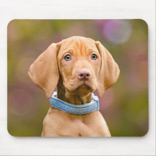 Niedliches puppyeyed Ungar Vizsla Mousepad