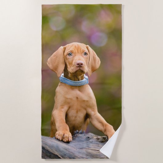Niedliches puppyeyed Ungar Vizsla Strandtuch (Vorderseite)