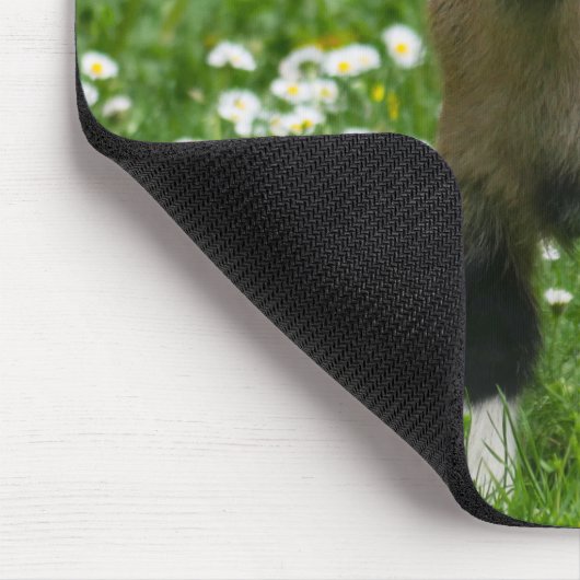 Niedliches Pygmäen-Ziege-Kind in Blume Mousepad (Ecke)