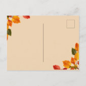 Niedliches Raccoon | Behalt in Touch Postkarte (Rückseite)